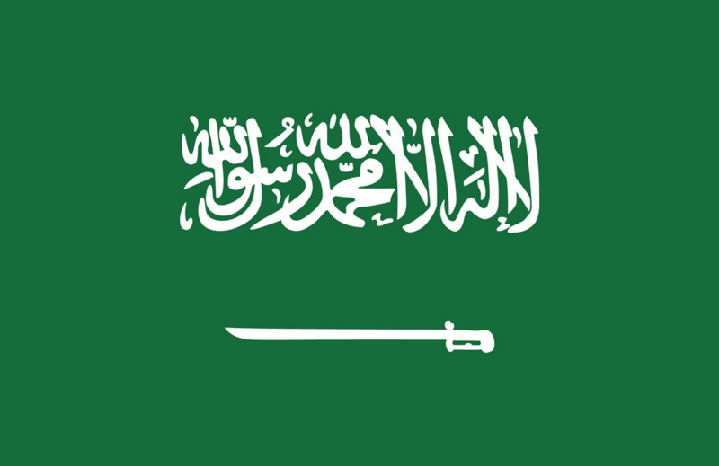 نمر النمر العنف السياسي ومستقبل الشيعة في السعودية