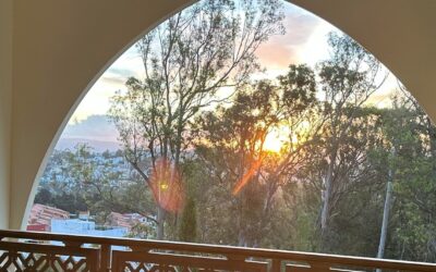 نحو الديار الجديدة   